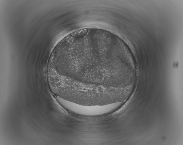 X0000096631529200803041053