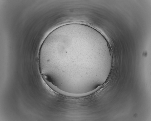 X0000096631532200803041053