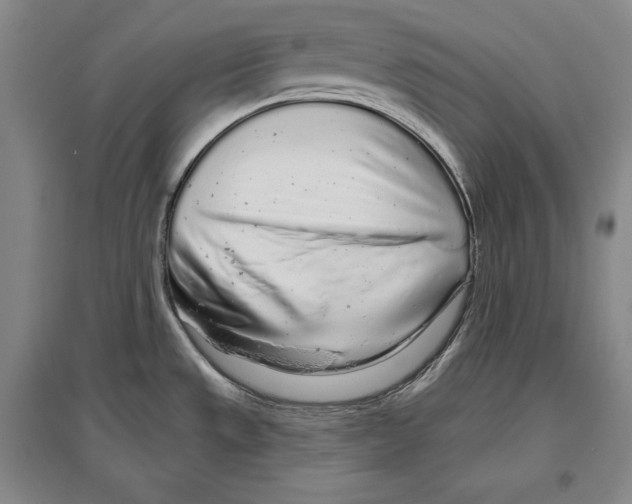 X0000096631533200803041053