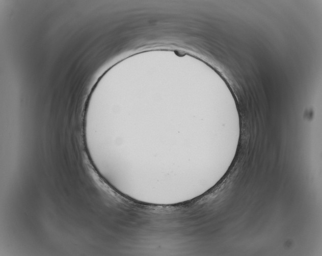 X0000096631534200803041053