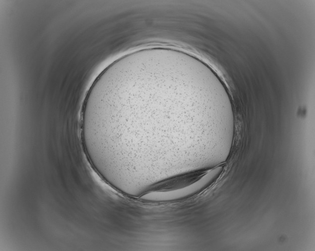 X0000096631535200803041053