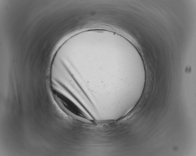 X0000096631536200803041053