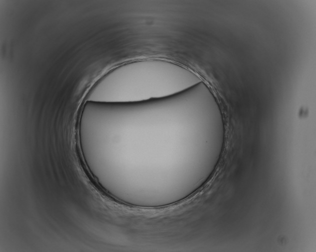 X0000096640002200802051008