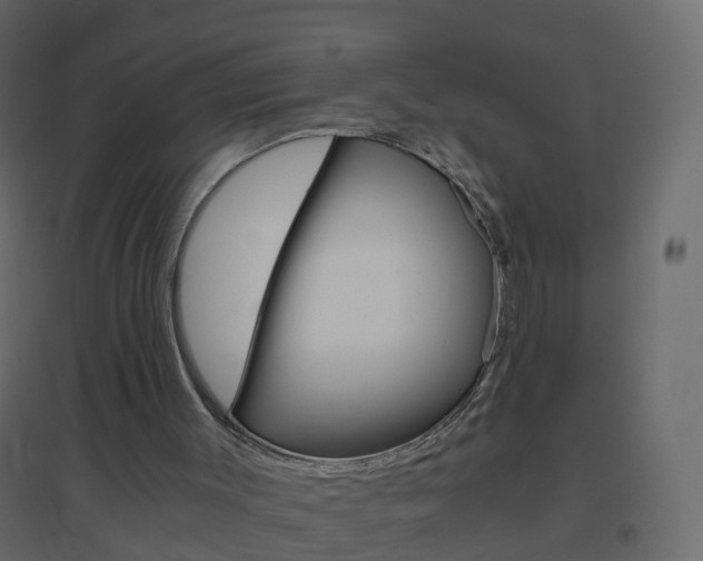 X0000096640003200802051008