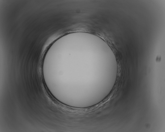 X0000096640004200802051008