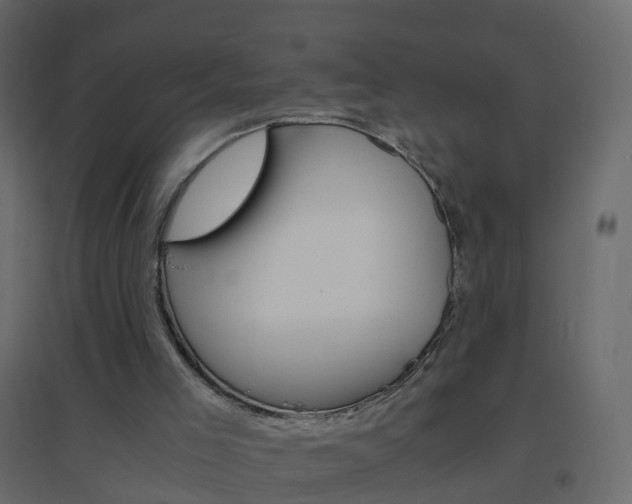 X0000096640005200802051008