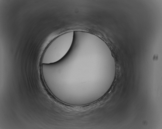 X0000096640006200802051008