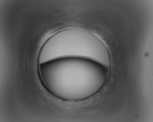 X0000096640007200802051008