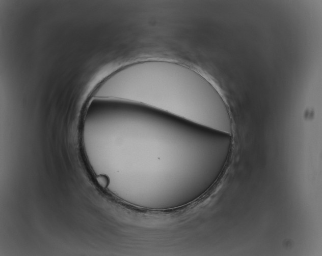X0000096640008200802051008