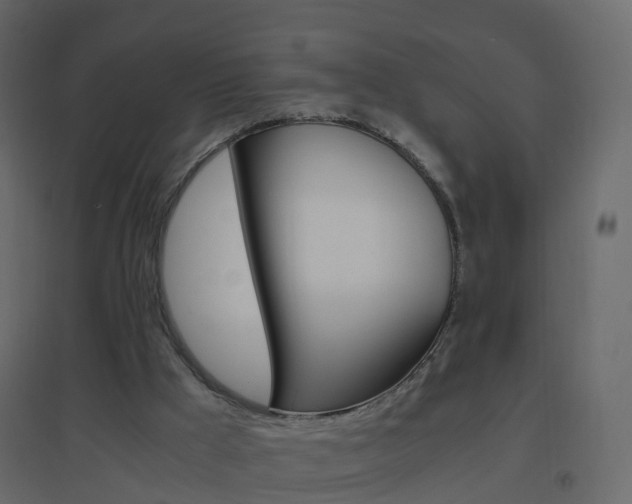 X0000096640009200802051008