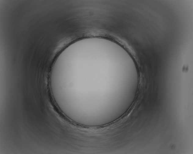 X0000096640010200802051008