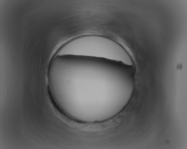 X0000096640011200802051008