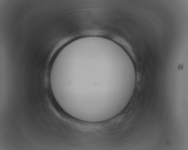 X0000096640012200802051008