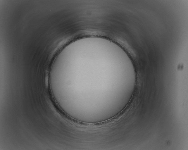 X0000096640014200802051008