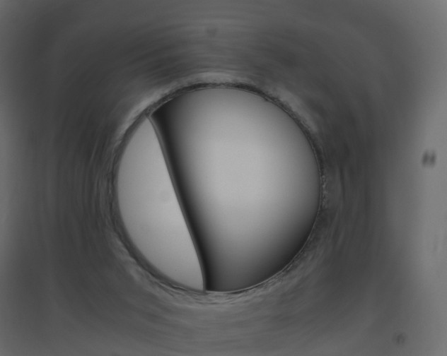 X0000096640015200802051008
