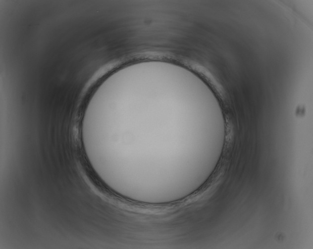X0000096640016200802051008