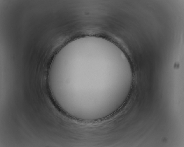 X0000096640018200802051008