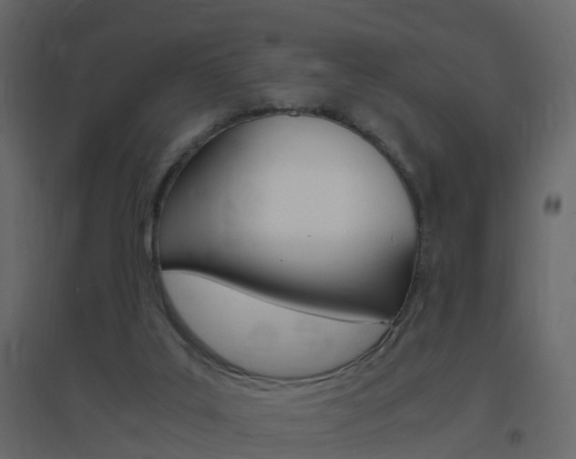 X0000096640019200802051008