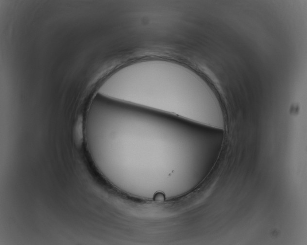 X0000096640020200802051008