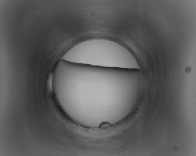 X0000096640022200802051008