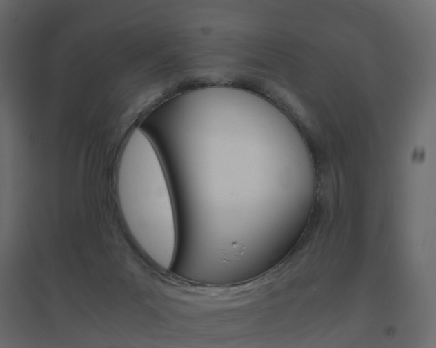 X0000096640023200802051008