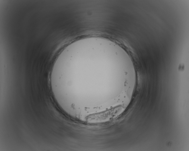 X0000096640024200802051008