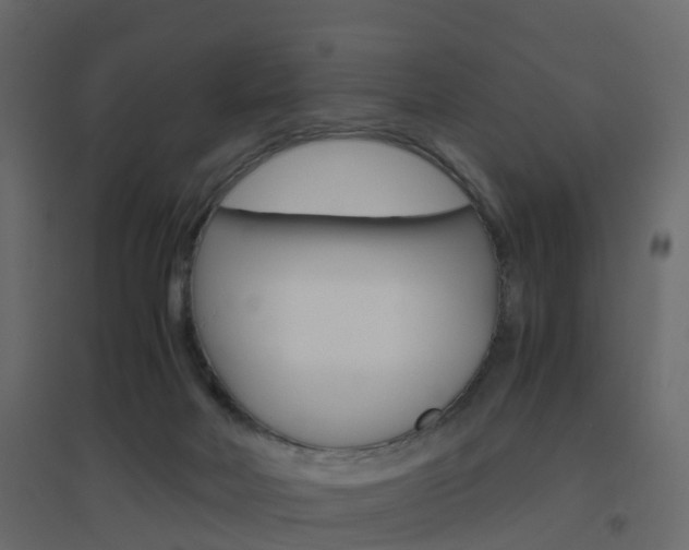X0000096640026200802051008