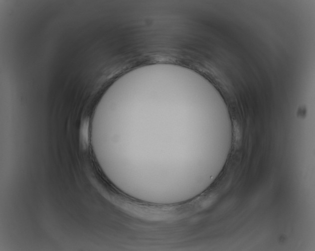 X0000096640028200802051008
