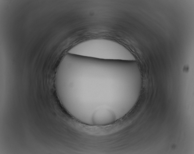X0000096640030200802051008
