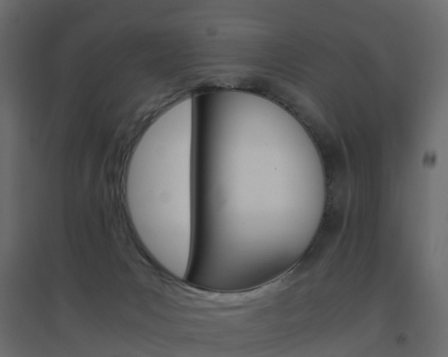 X0000096640031200802051008
