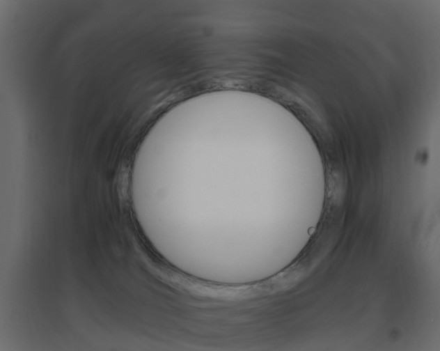 X0000096640036200802051007