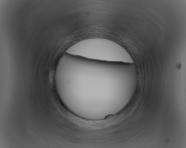 X0000096640038200802051007