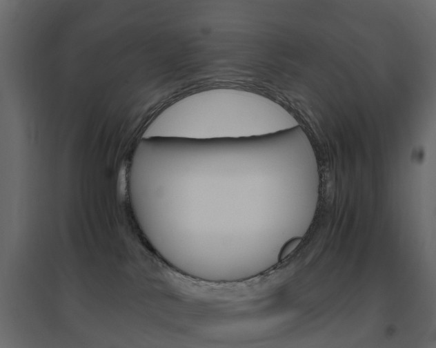X0000096640042200802051007
