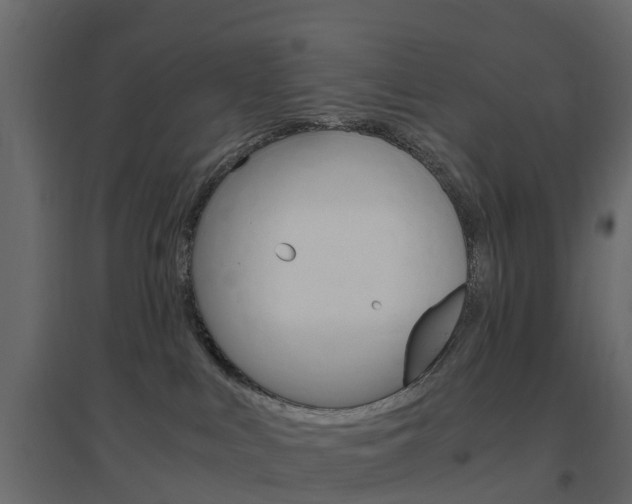 X0000096640043200802051007