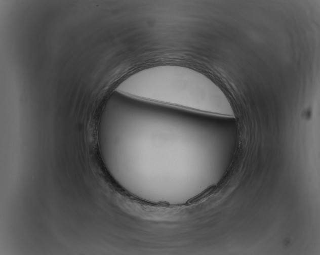 X0000096640044200802051007
