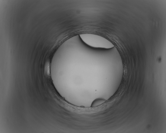 X0000096640046200802051007