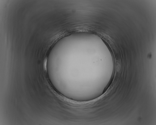 X0000096640047200802051007