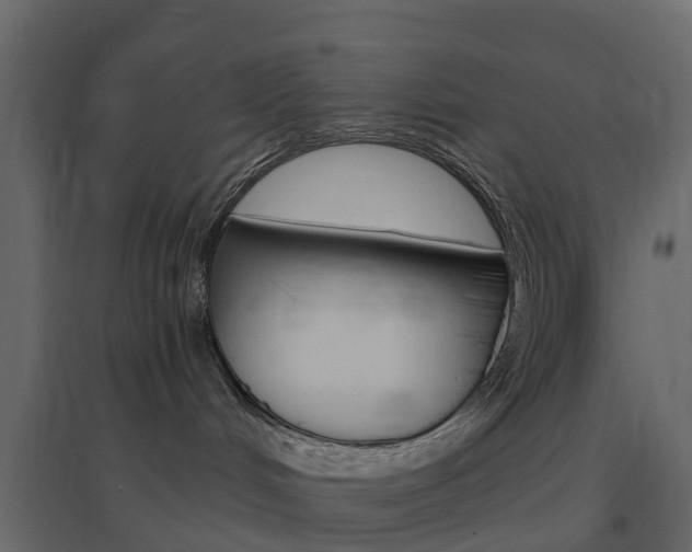 X0000096640048200802051007