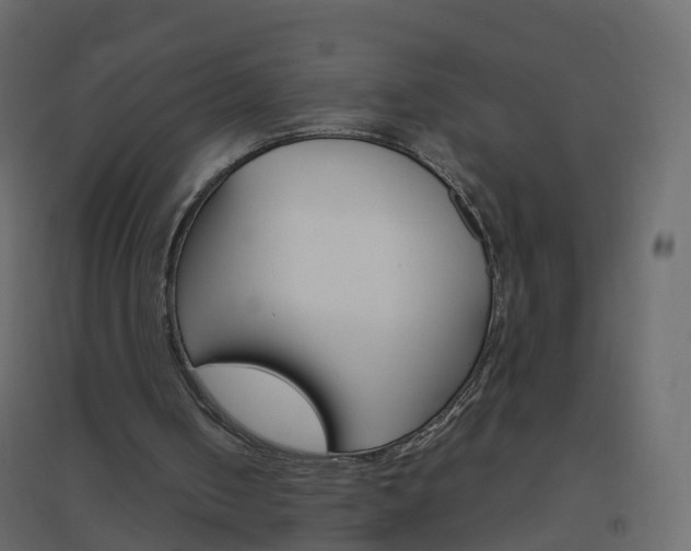 X0000096640050200802051006