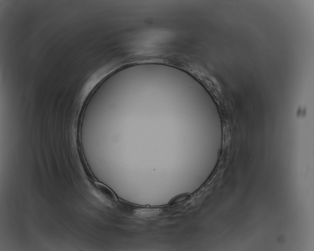 X0000096640051200802051007