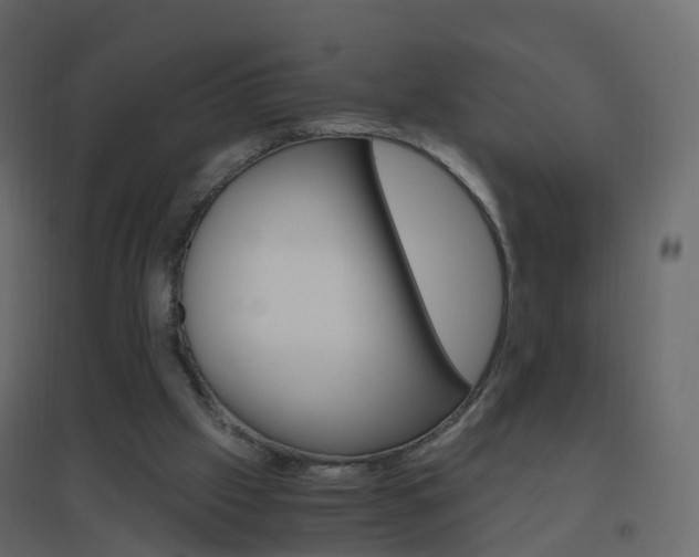 X0000096640057200802051007