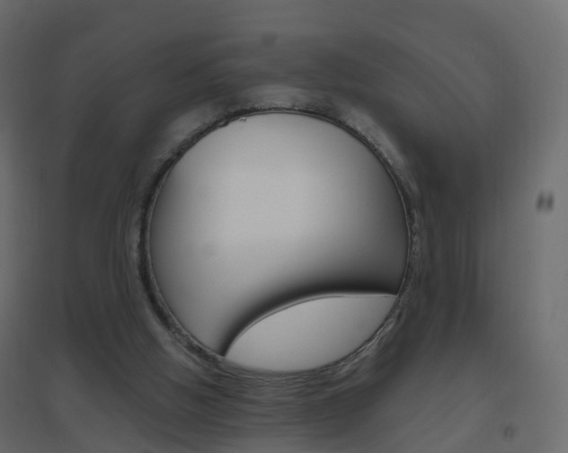 X0000096640058200802051007