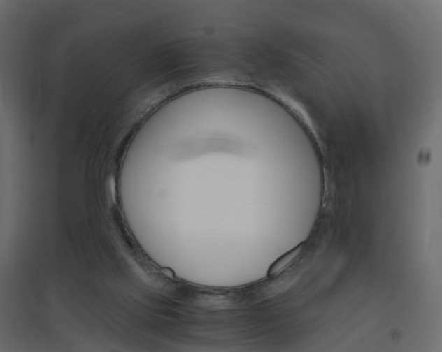 X0000096640061200802051007