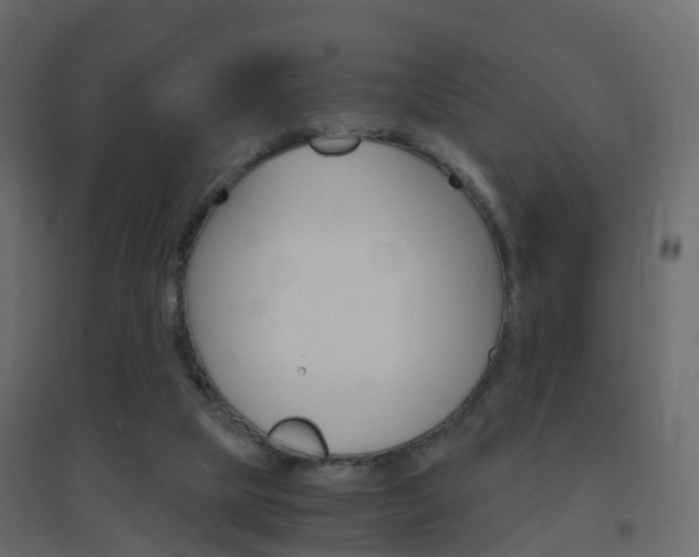 X0000096640065200802051007