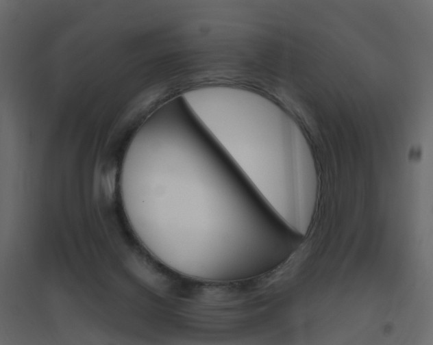 X0000096640070200802051007