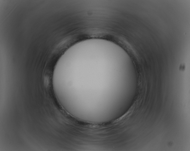 X0000096640074200802051007