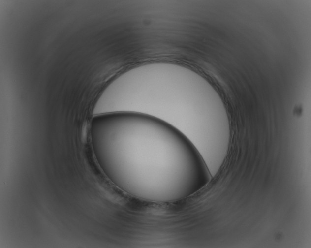 X0000096640076200802051007