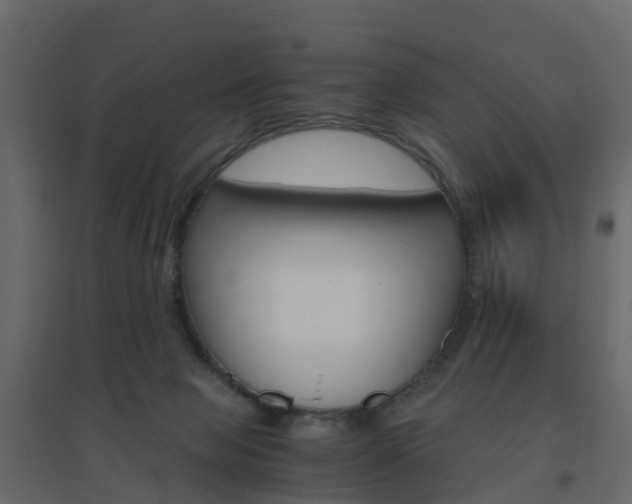X0000096640077200802051007