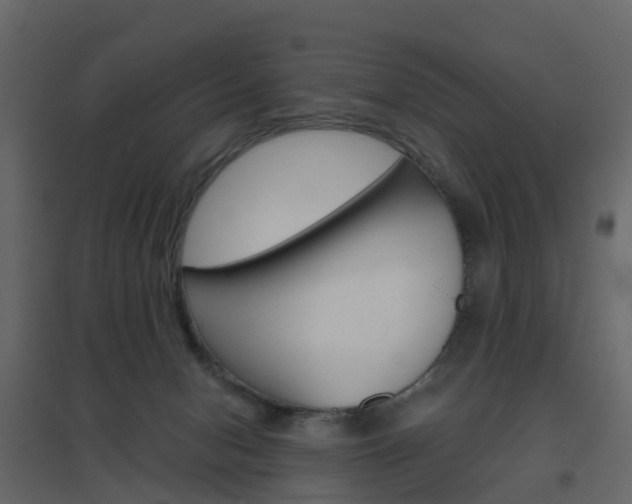 X0000096640078200802051007