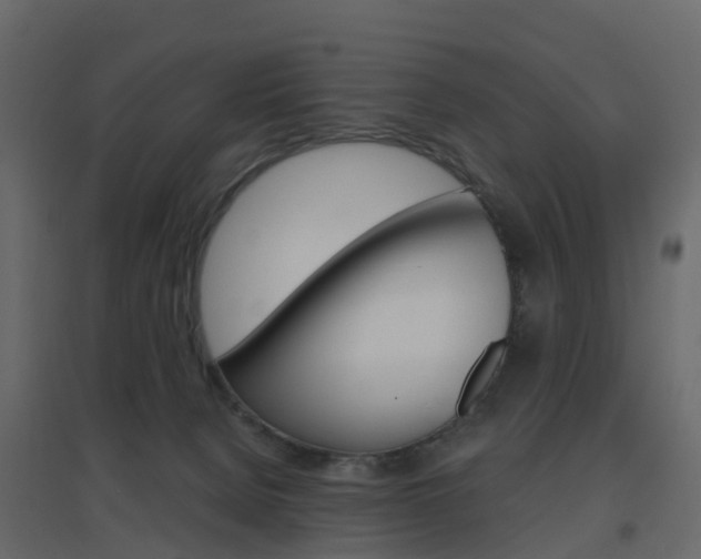 X0000096640080200802051007